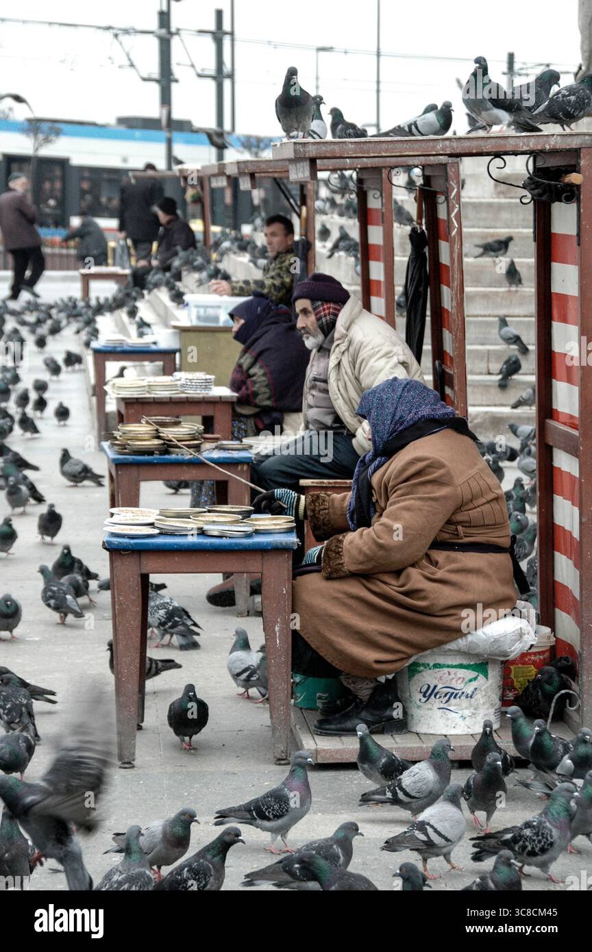 Scène de rue de vendeurs de semences et de pigeons à Istanbul, Turquie, mars 2009. Une tranche typique de la vie urbaine quotidienne près de la place de la mosquée. Banque D'Images
