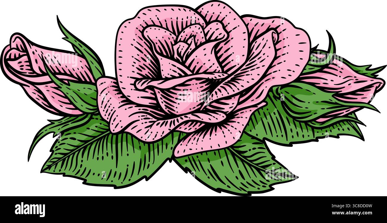Rose Flower gravure gravée gravure illustration Illustration de Vecteur