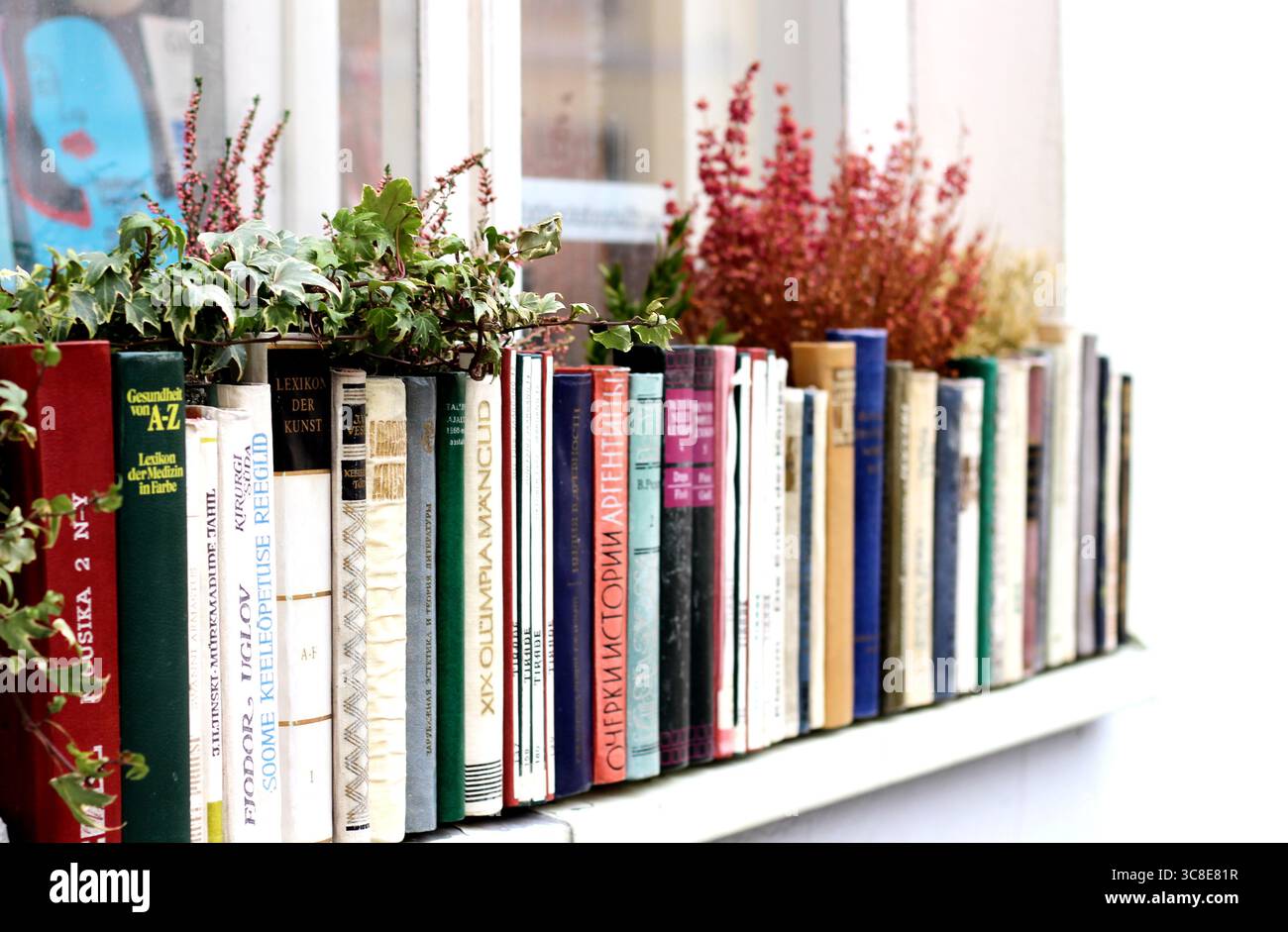 Utilisation intéressante de vieilles épines de livre pour créer un planteur, repéré dans la vieille ville de Tallinn, Estonie Banque D'Images