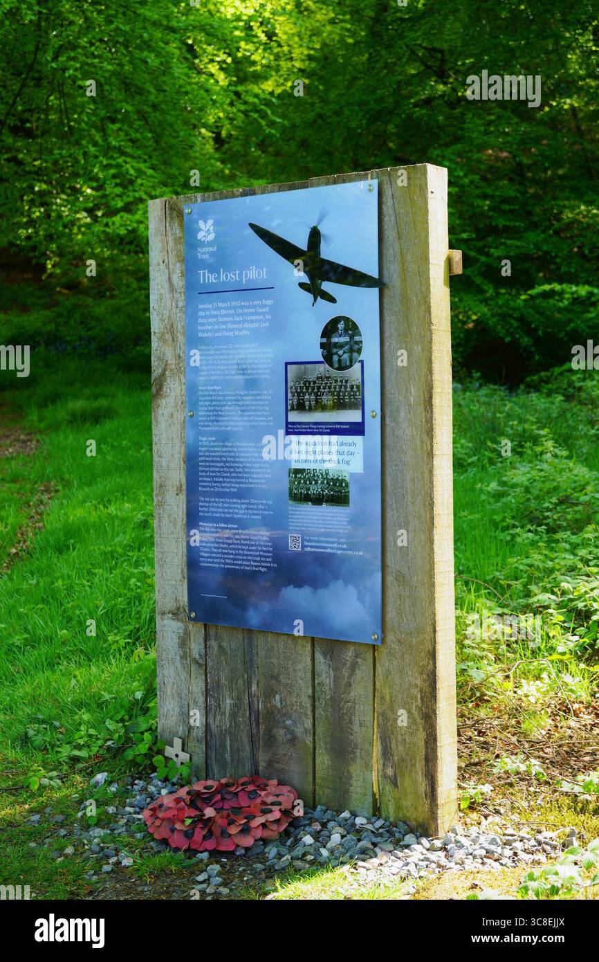 Information Board à Lewesdon Hill, Dorset, Angleterre, Royaume-Uni en mai concernant Spitfire de la seconde Guerre mondiale écrasé Banque D'Images