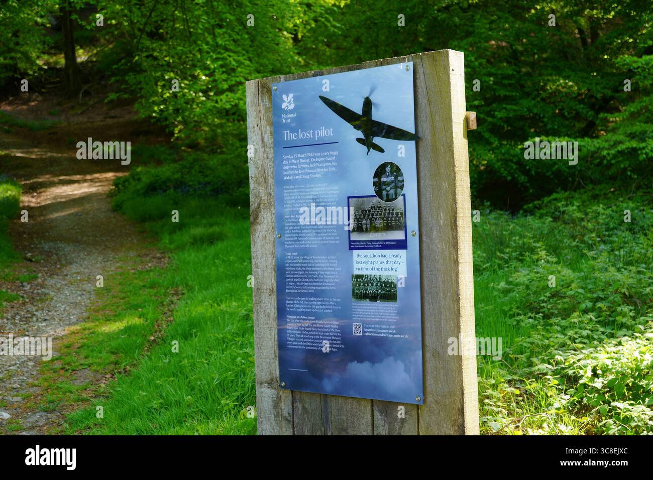 Information Board à Lewesdon Hill, Dorset, Angleterre, Royaume-Uni en mai concernant Spitfire de la seconde Guerre mondiale écrasé Banque D'Images