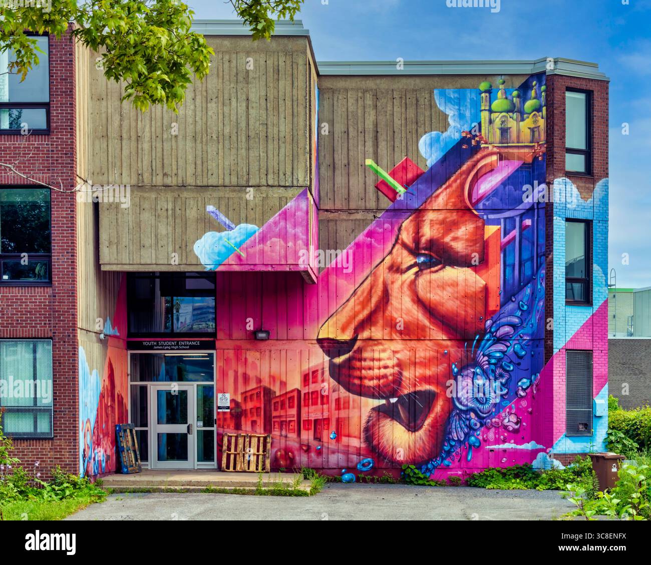 Lion mural - divers Banque D'Images