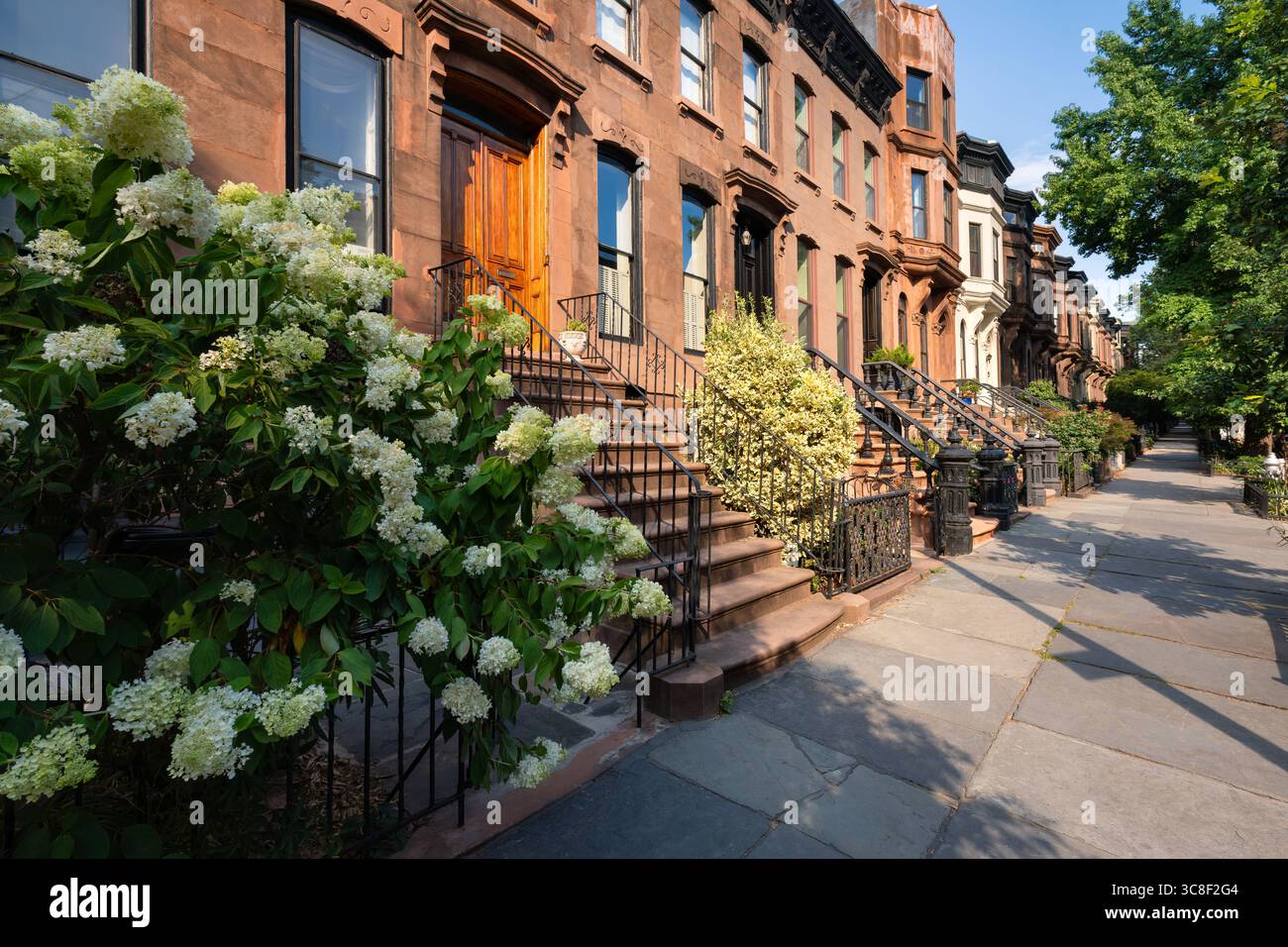 Quartier historique de Park Slope à Brooklyn, New York. Rangée de brownstones et maisons de ville avec des escabeaux sur une rue résidentielle bordée d'arbres Banque D'Images