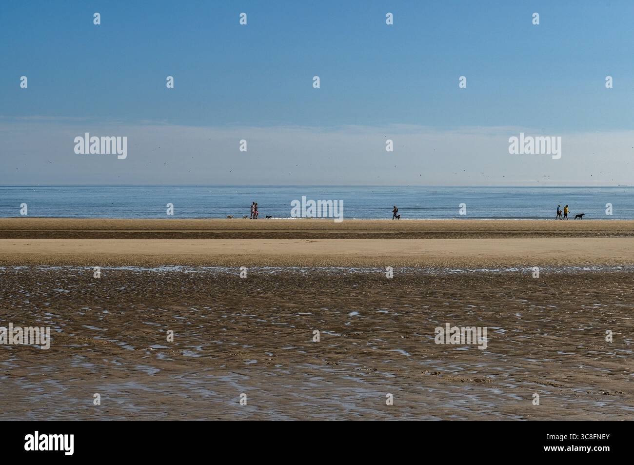 Filey, North Yorkshire, Royaume-Uni, 22 juillet 2025. Filey Beach sur la côte est de l'Angleterre avec la mer du Nord. Crédit Paul Heyes. Banque D'Images