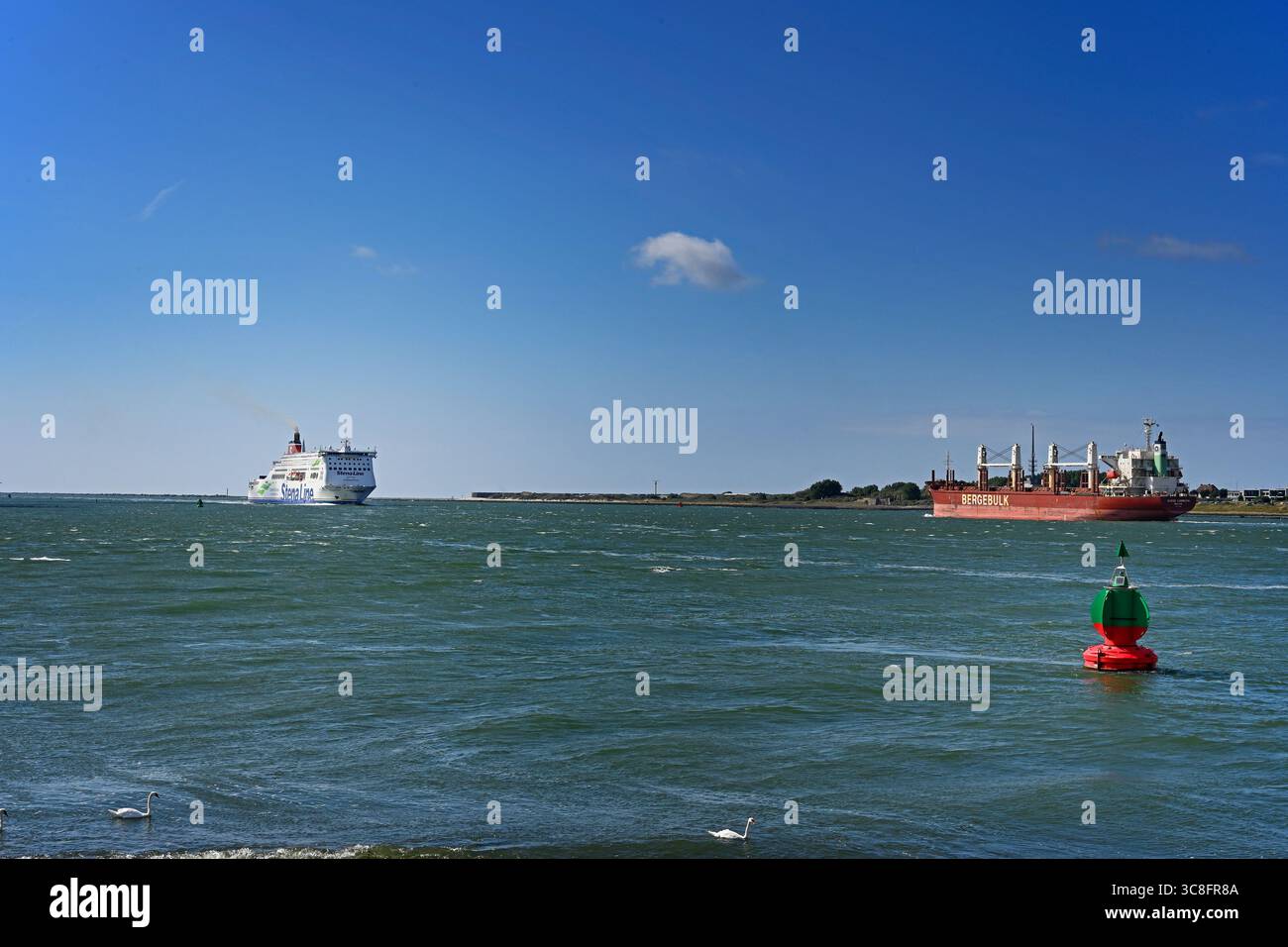 hoek van holland, pays-bas - 2025-07-30 : ferry harwich stena hollandica (9419163) entrant et bulkcarrier berge snowdown (9738882) sortant -- [cr Banque D'Images