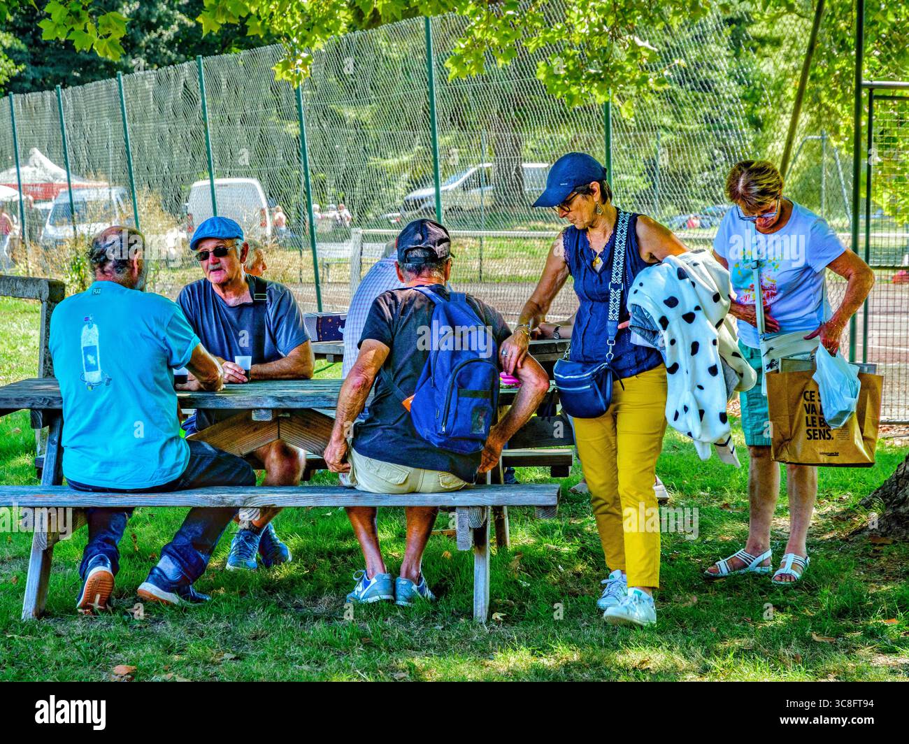 Groupe d'amis âgés et de couples buvant et discutant à la table de pique-nique - Paulmy, Indre-et-Loire (37), France. Banque D'Images