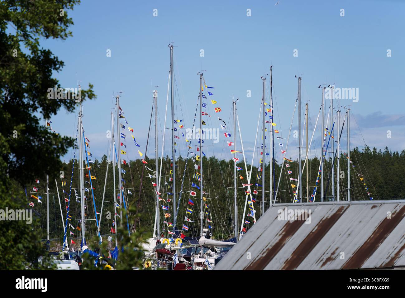Voiliers avec des drapeaux vibrants amarrés dans le port par une journée d'été lumineuse Banque D'Images