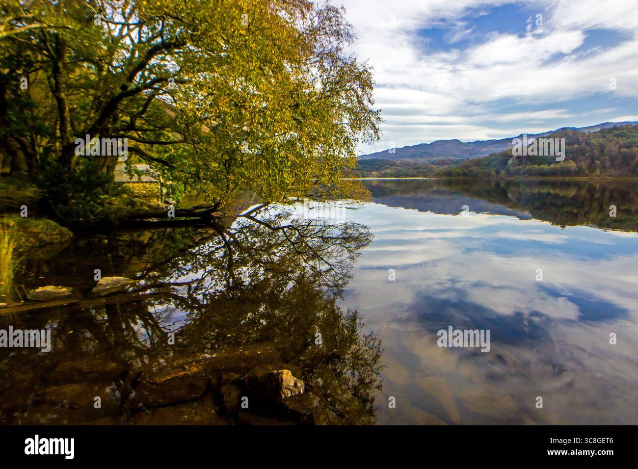 Réflexions dans le lac de montagne peu profond de Llyn Dinas à Eryri, Parc National du pays de Galles Banque D'Images