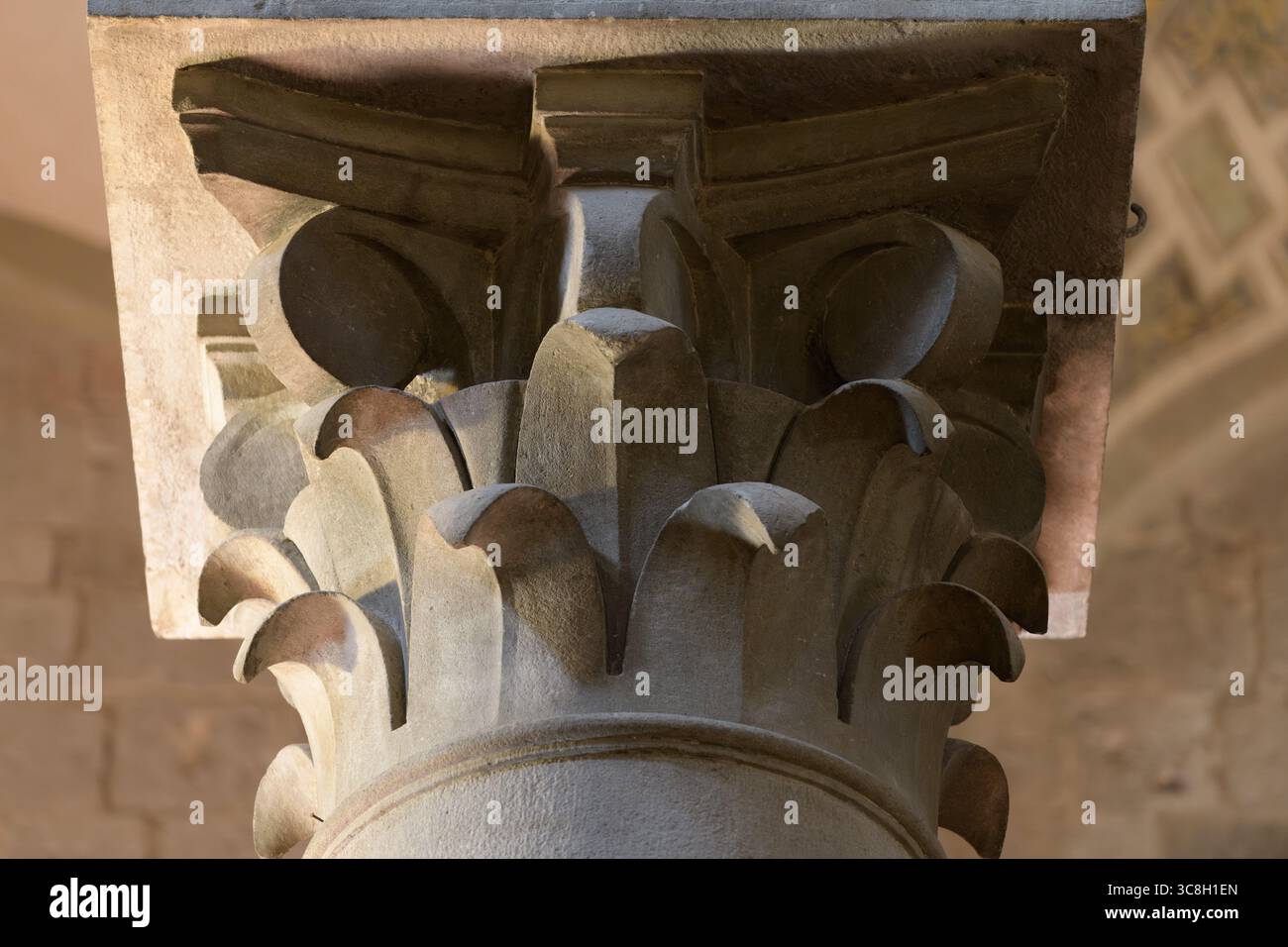 Colonne de style roman avec éléments corinthiens, motifs décoratifs de feuillage, située dans la cathédrale de San Zeno (Duomo di San Ze Banque D'Images