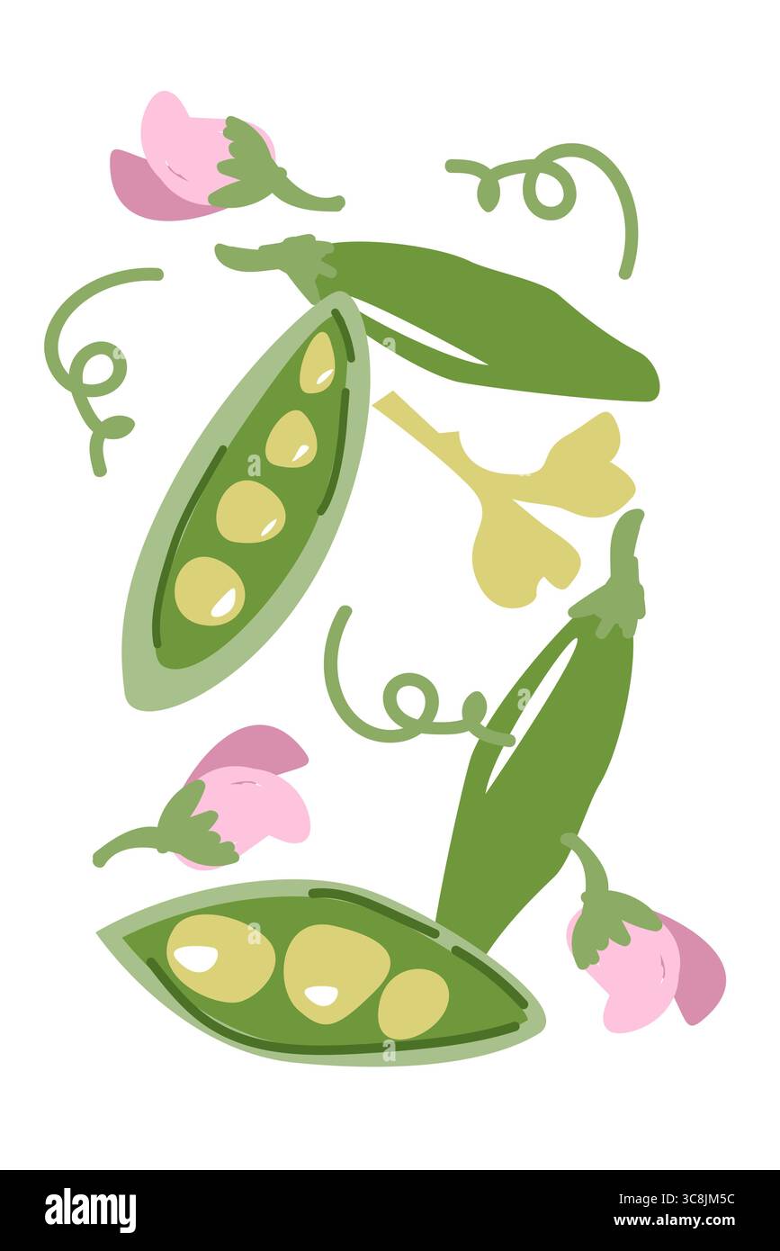Pois verts et motif de fleurs roses avec des éléments botaniques. Affiche végétale minimale contemporaine avec des couleurs vives. Design vertical moderne. Illustration de Vecteur Pois verts et motif de fleurs roses avec des éléments botaniques. Affiche végétale minimale contemporaine avec des couleurs vives. Design vertical moderne. Illustration de Vecteur