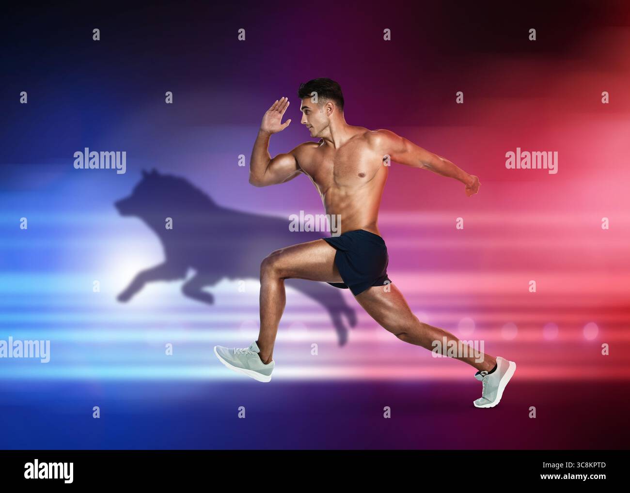 Homme athlétique courant sur fond bleu rouge vif. Son ombre en forme de chien. Affiche sportive Banque D'Images
