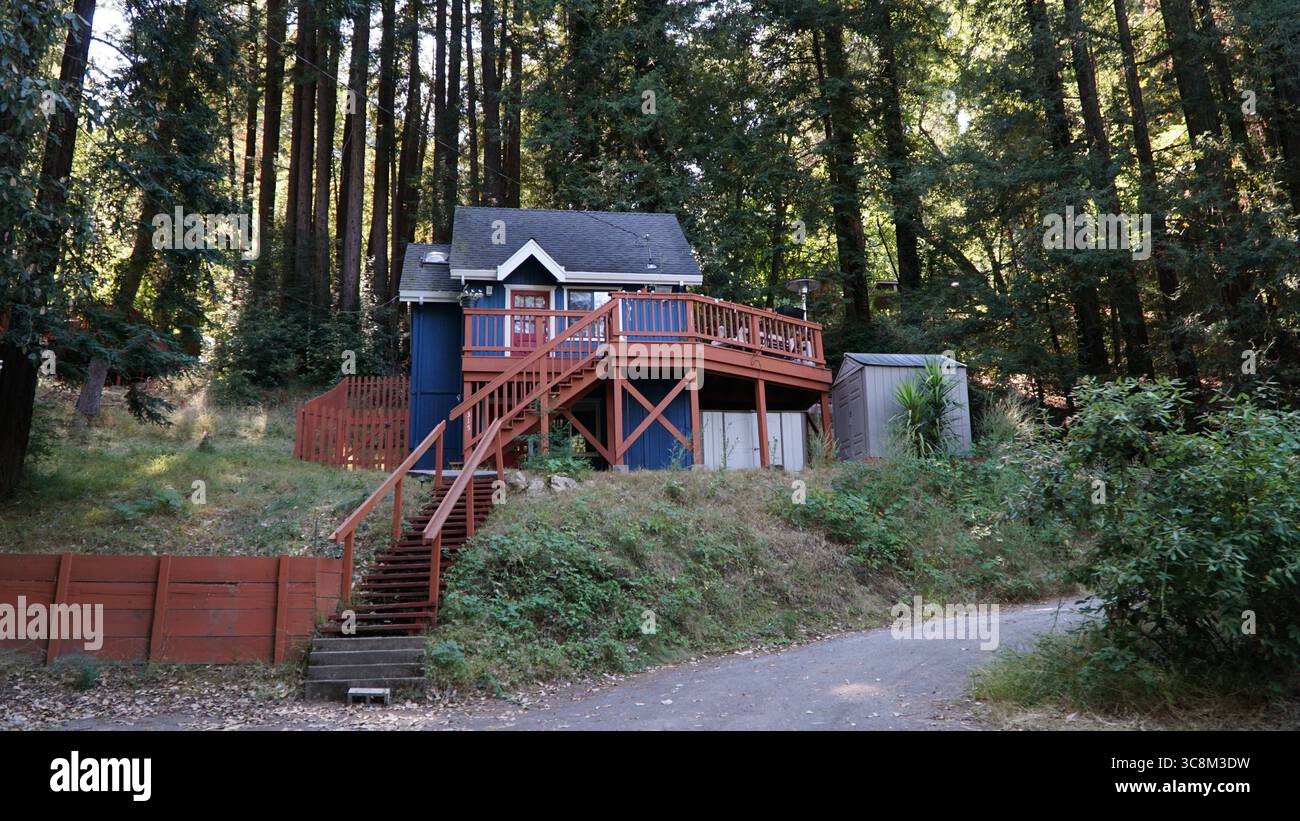 Une cabine surélevée confortable avec une terrasse en séquoia se trouve parmi les arbres de séquoias imposants dans le nord de la Californie, entouré d'une végétation luxuriante et d'une forêt naturelle Banque D'Images