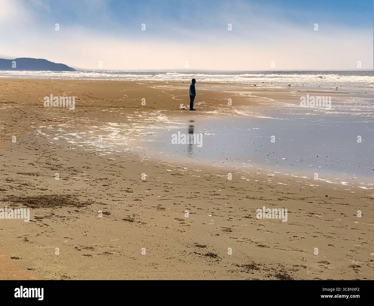 Homme debout en silhouette au Sunset Dunes Park, le long de l'océan Pacifique, San Francisco, Californie Banque D'Images