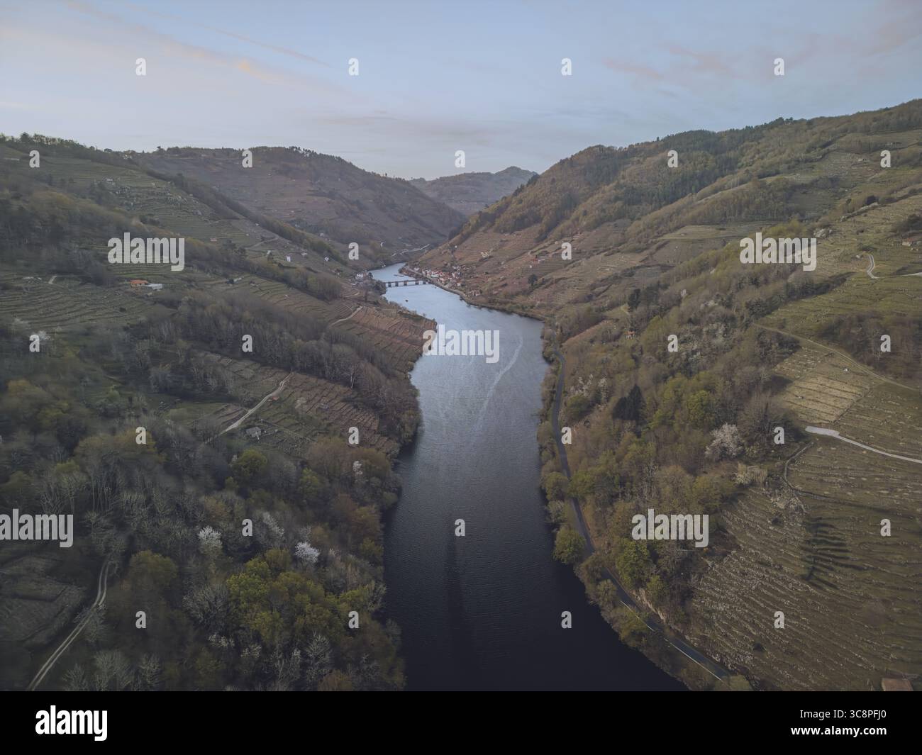 Vue aérienne d'une rivière sombre serpente à travers les collines verdoyantes et vallonnées de Ribeira Sacra, coupant un chemin serein à travers le paysage accidenté, Bexán, Lugo, Espagne. Banque D'Images