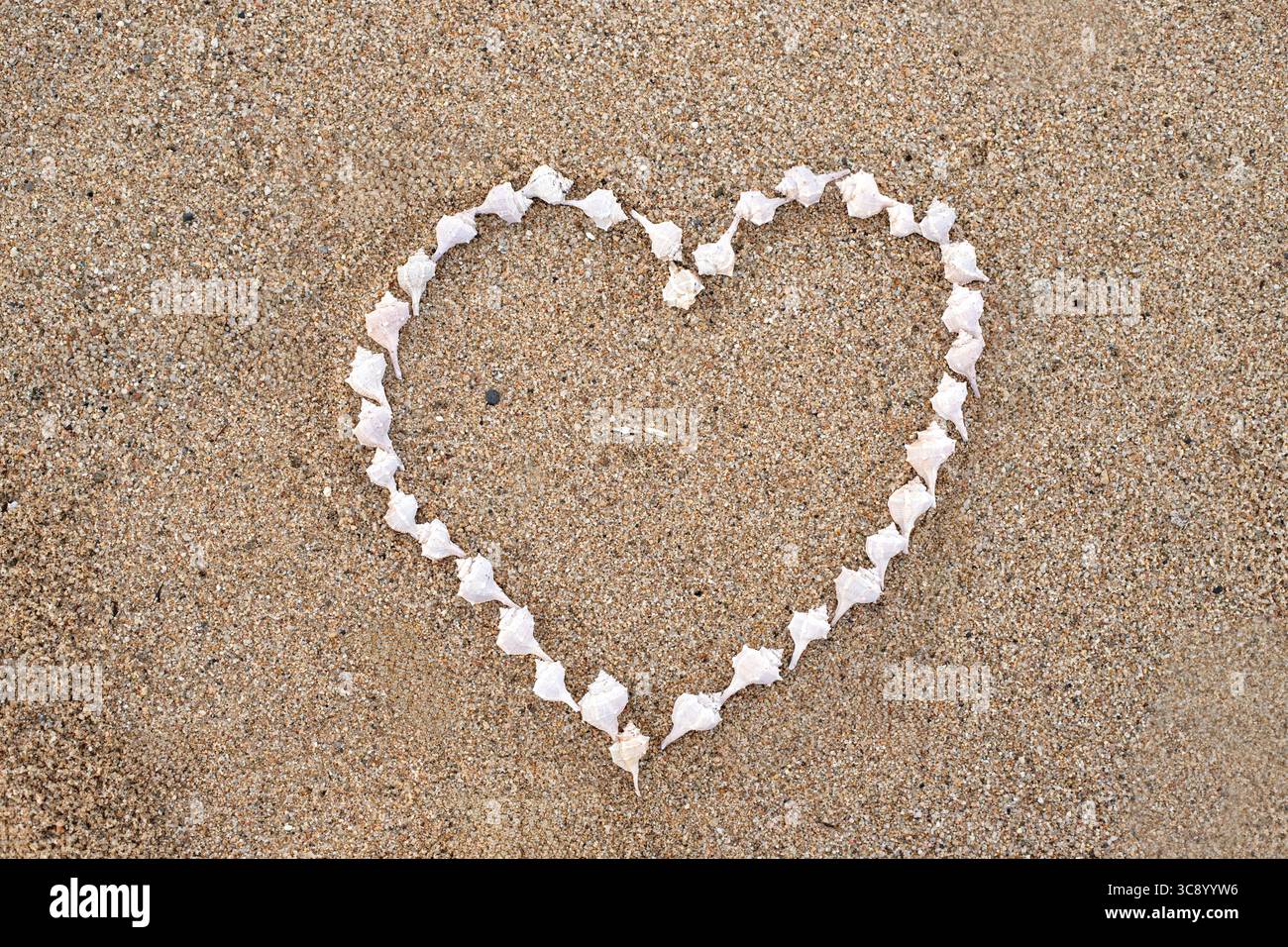 Coeur avec des coquillages sur un grincement, un symbole d'amour et bagues de fiançailles Banque D'Images