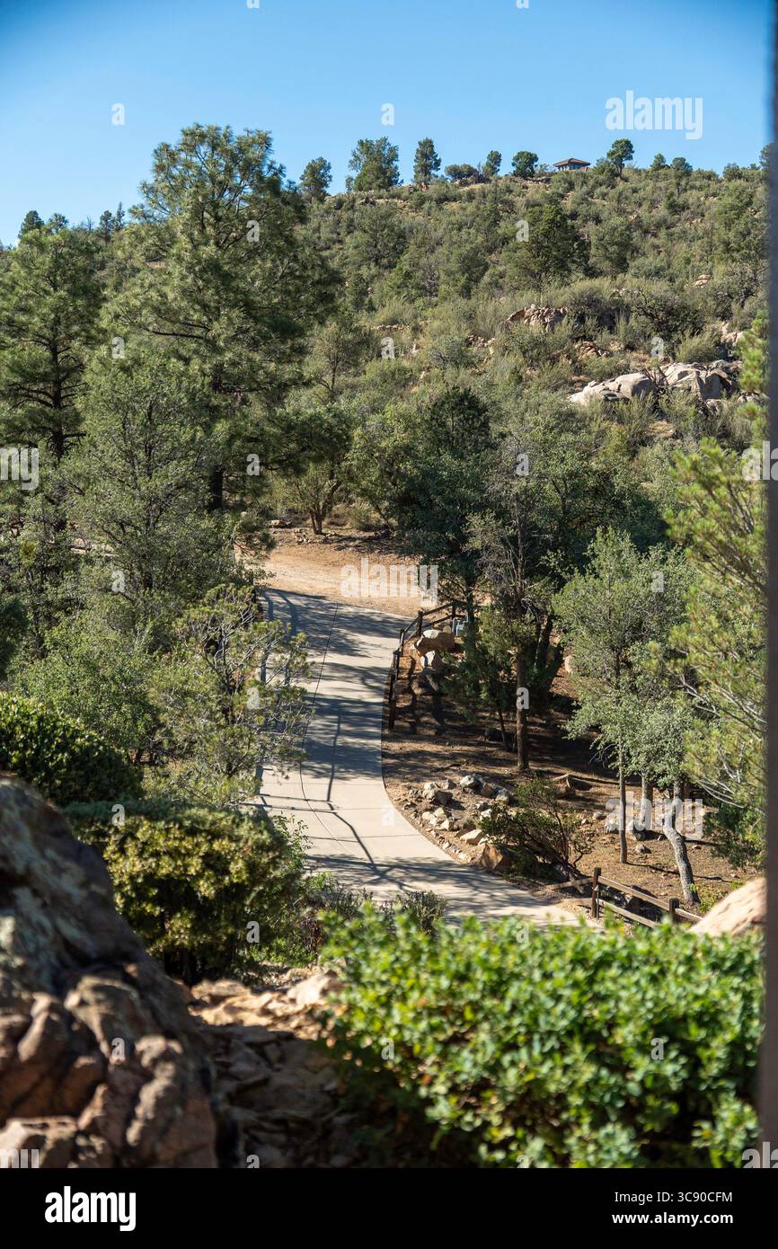 Un long chemin de terre serpentant à travers une belle forêt avec de grands arbres bordant les deux côtés, fournissant de l'ombre et une atmosphère enchanteresse Banque D'Images