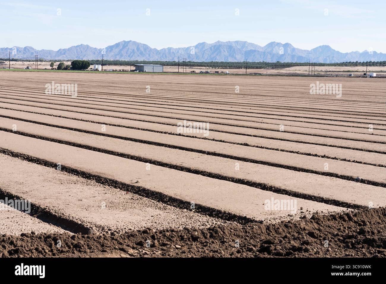27 janvier 2021, Yuma, Arizona, États-Unis : un champ agricole prêt pour la plantation dans une ferme dans le désert près de Yuma, Arizona. (Crédit image : © Jon G. Fuller/VW pics via ZUMA Wire) Banque D'Images