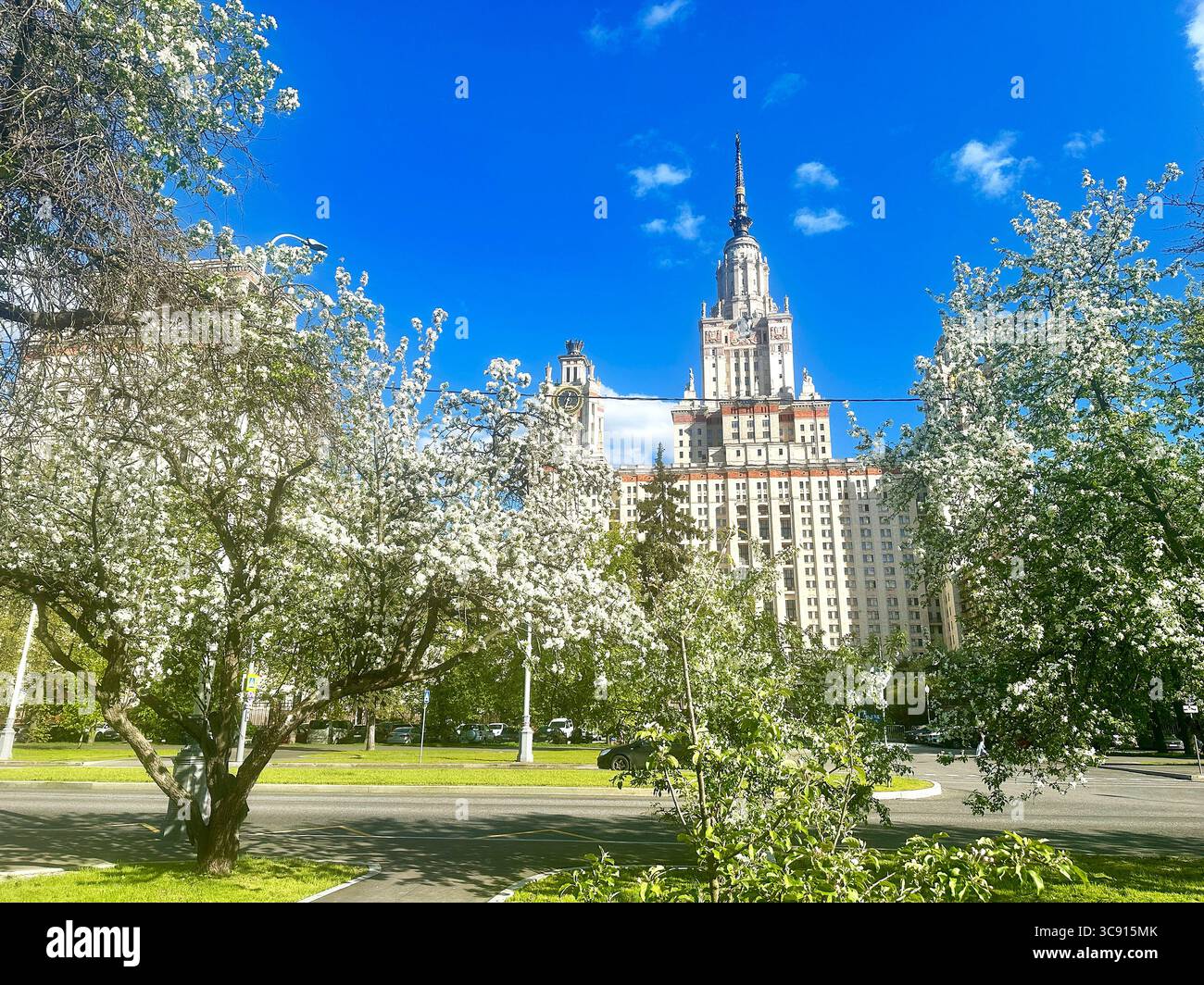 Fleurs de printemps encadrant la flèche stalinienne de l'Université d'État de Moscou Banque D'Images