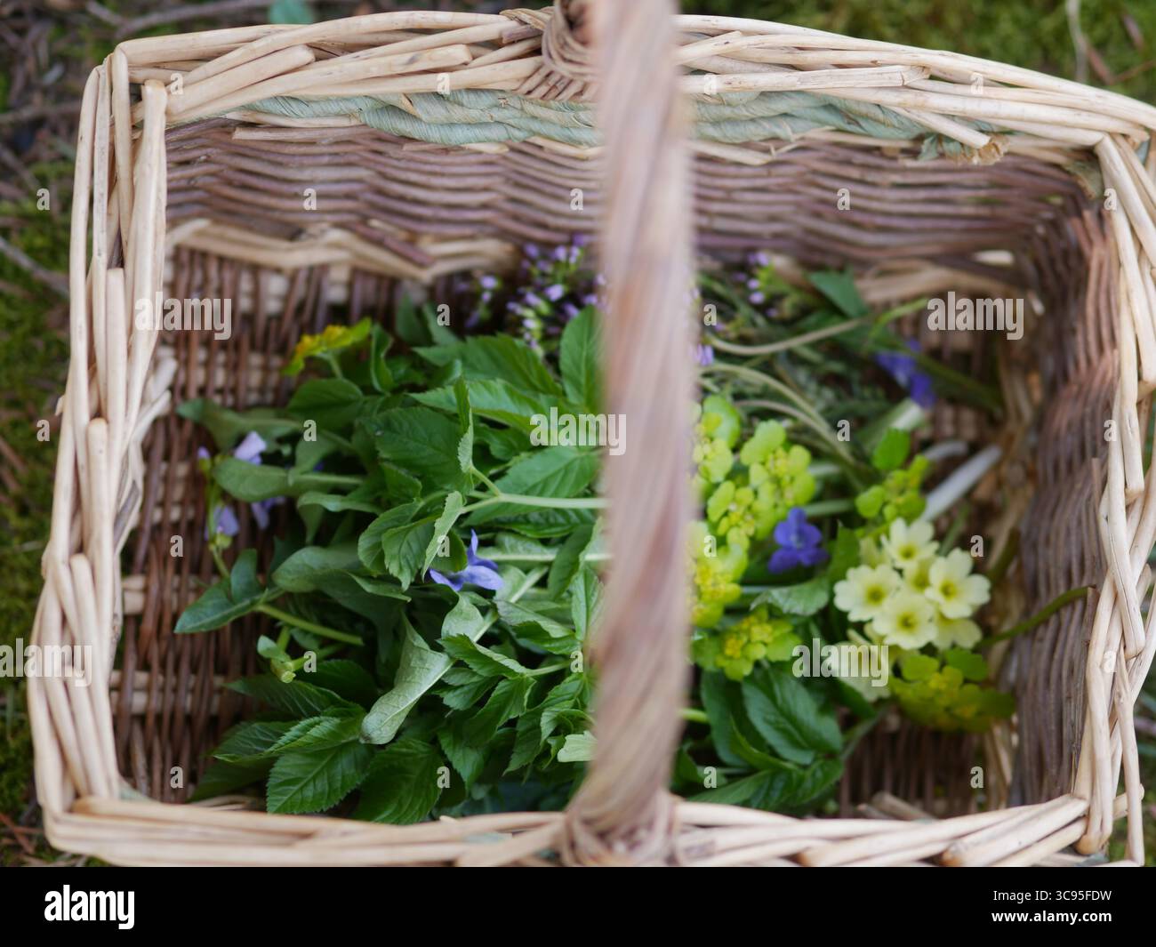 Panier rempli d'herbes et de fleurs Banque D'Images
