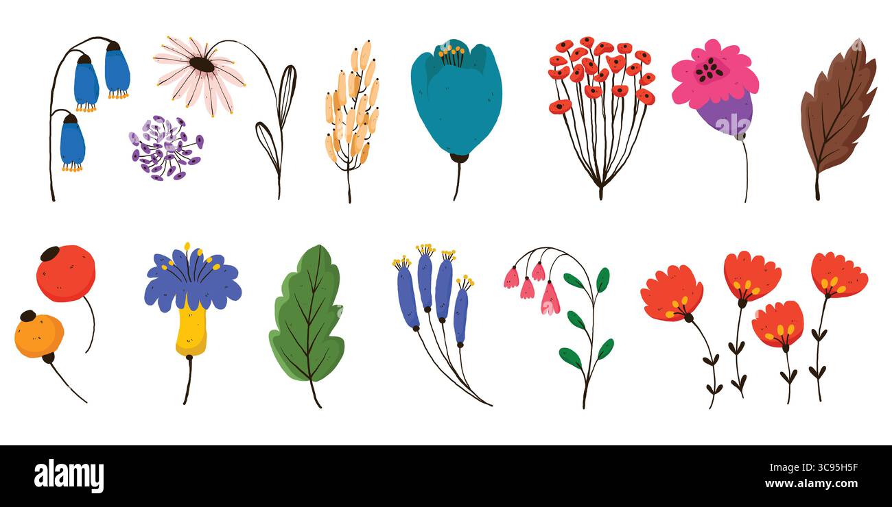 Collection botanique dessinée à la main avec des fleurs et des feuilles colorées. Griffonnez les éléments de la nature dans un style ludique avec des fleurs, des gousses et du feuillage éclatants Illustration de Vecteur