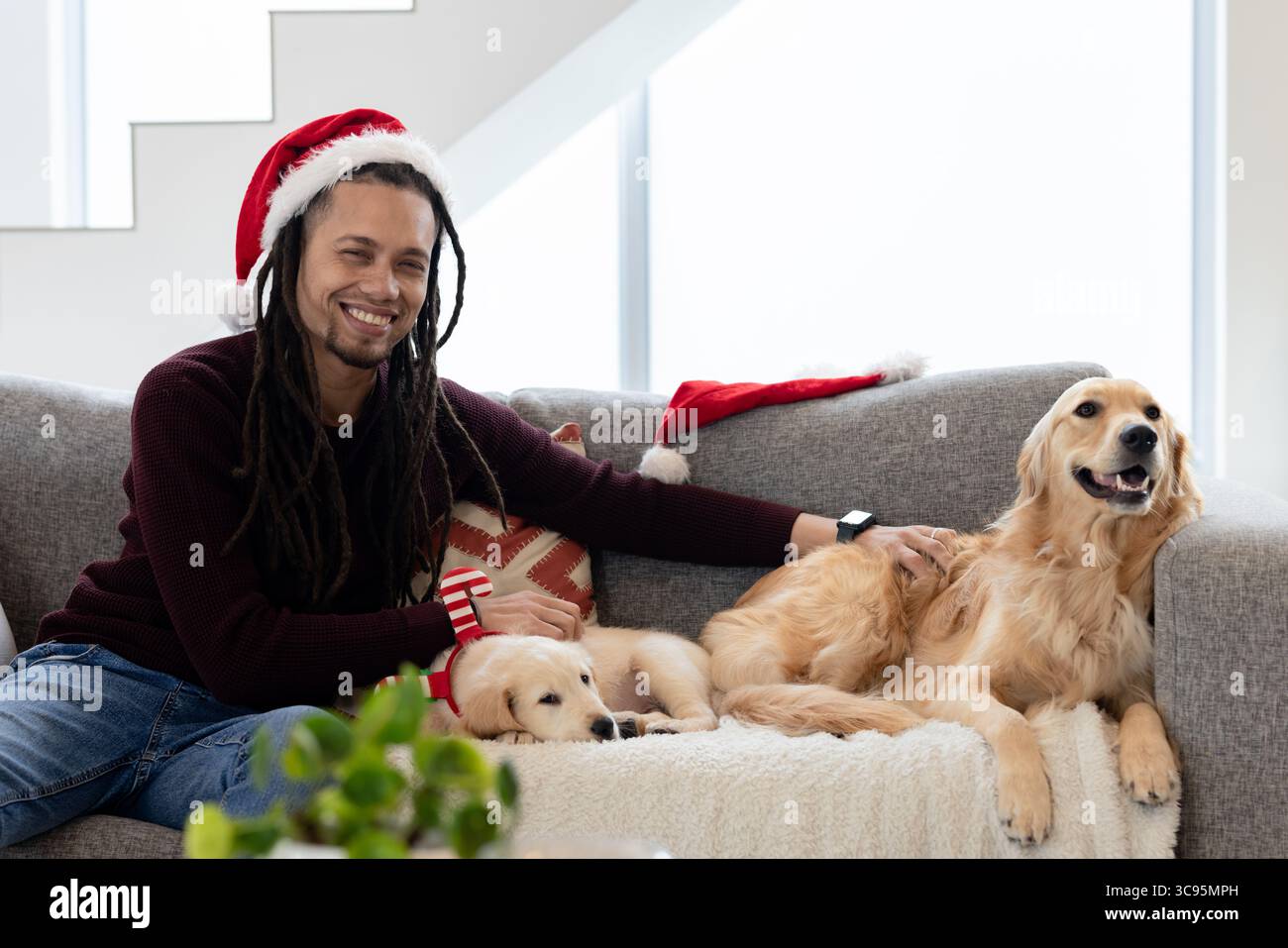 Homme portant chapeau de Père Noël et pull Bourgogne caressant Golden retrievers sur le canapé dans le salon Banque D'Images