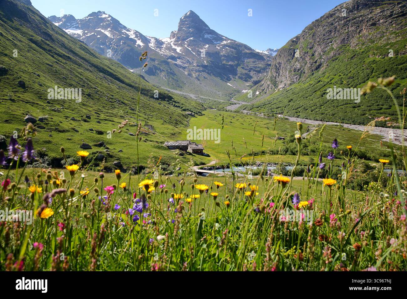 Le hameau la Duis au-dessus de L'Ecot, Bonneval sur Arc, Parc National de la Vanoise, Vallée de la Maurienne, Savoie, France Banque D'Images