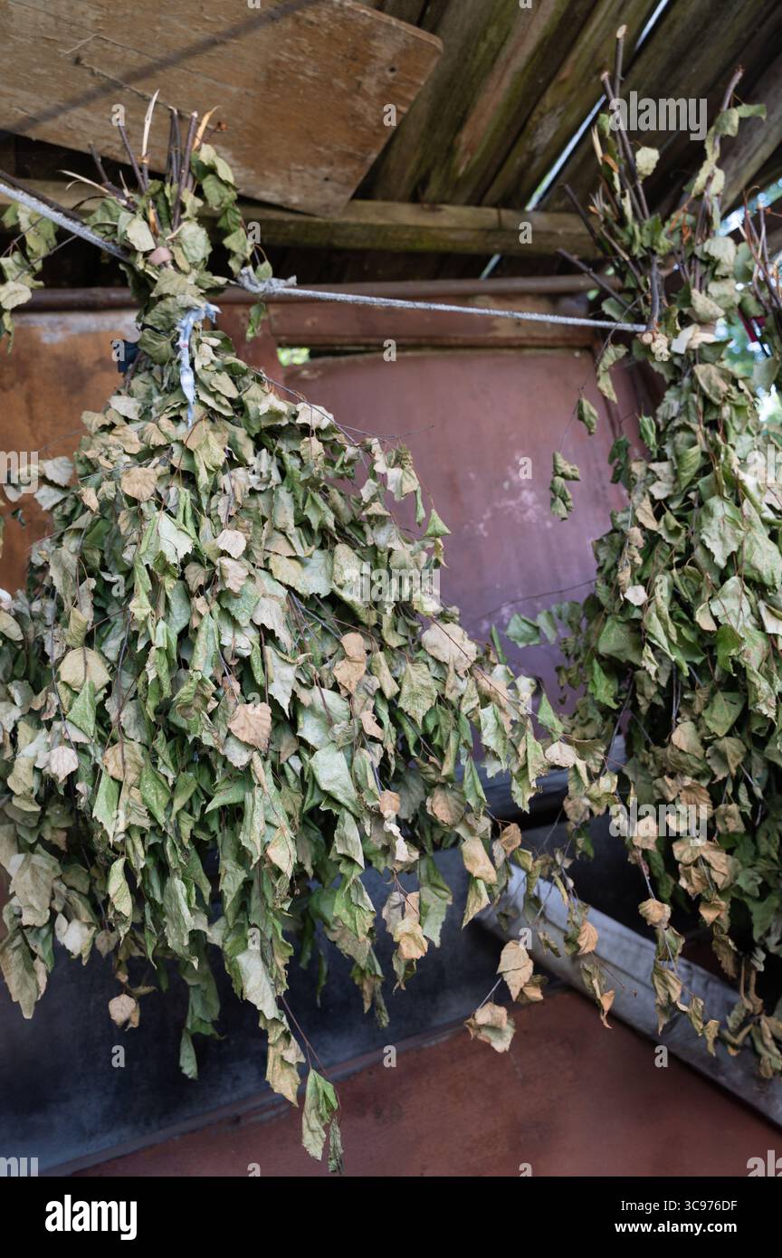Un amas de feuilles séchées et froissées pendent gracieusement d'un mince fil, se balançant doucement dans la brise comme la nature l'a prévu Banque D'Images
