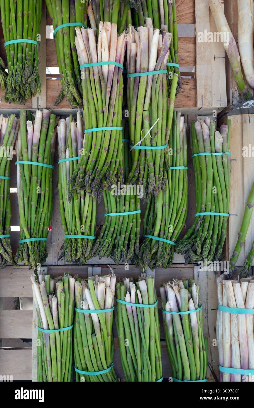 Grappes d'asperges blanches aux pointes violettes et asperges vertes sur un marché fermier français Banque D'Images
