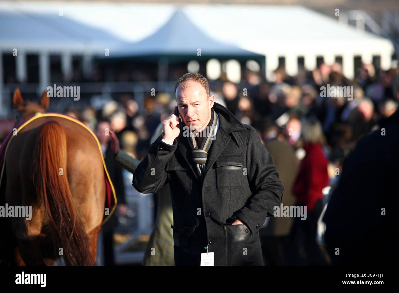 Alan Shearer aux courses de Cheltenham - 24 janvier 2009 Banque D'Images