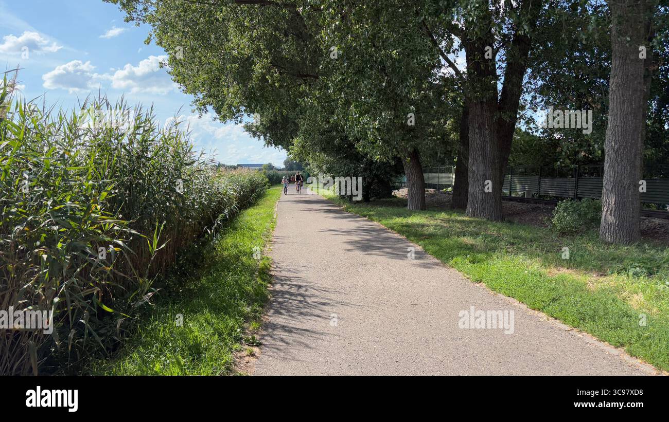 La marche estivale et la piste cyclable le long du lac Malta à Poznań, en Pologne, avec les gens appréciant le temps chaud. Nature urbaine et loisirs. Utilisation éditoriale Banque D'Images