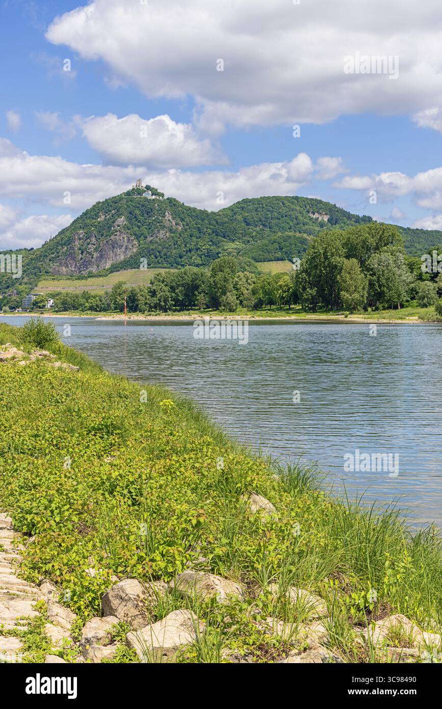 Le Siebengebirge avec les Drachenfels, vu de l'île de Grafenwerth à Bad Honnef Banque D'Images