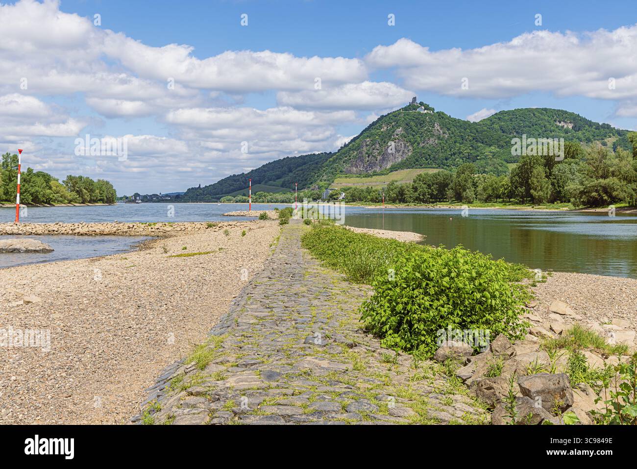 Le Rhin sur l'île de Grafenwerth à Bad Honnef avec les Drachenfels en arrière-plan Banque D'Images