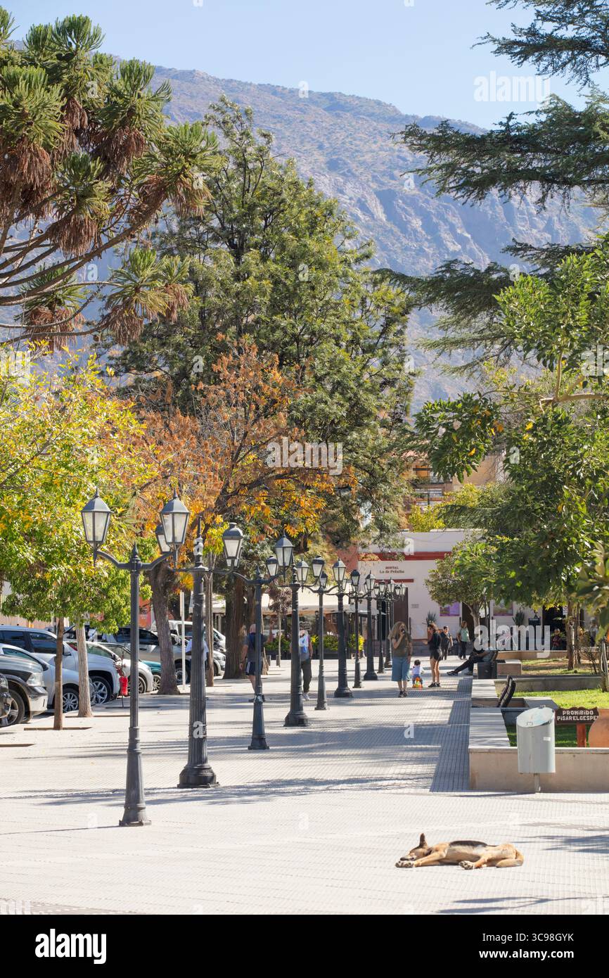 Lampadaires sur la place principale de Cafayate en automne, Salta, Nord-Ouest de l'Argentine. Banque D'Images