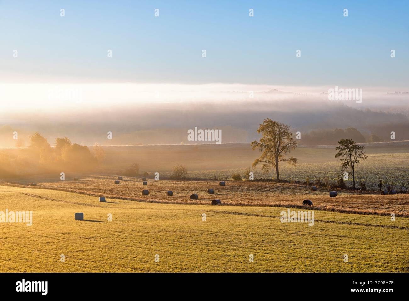 Paysage rural avec des balles sur un champ un matin d'automne brumeux Banque D'Images