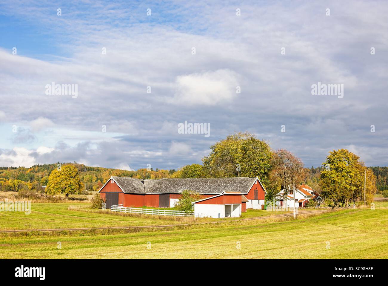 Farmstedt avec des maisons et des granges dans la campagne un jour d'automne ensoleillé Banque D'Images