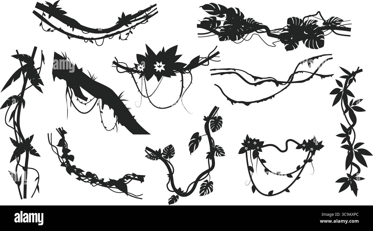 Forêt tropicale avec vignes suspendues. Branches et feuilles de plantes de la jungle silhouette noire. Grimpeurs d'escalade. Bois tordus. Verdure de lierre botanique. R Illustration de Vecteur