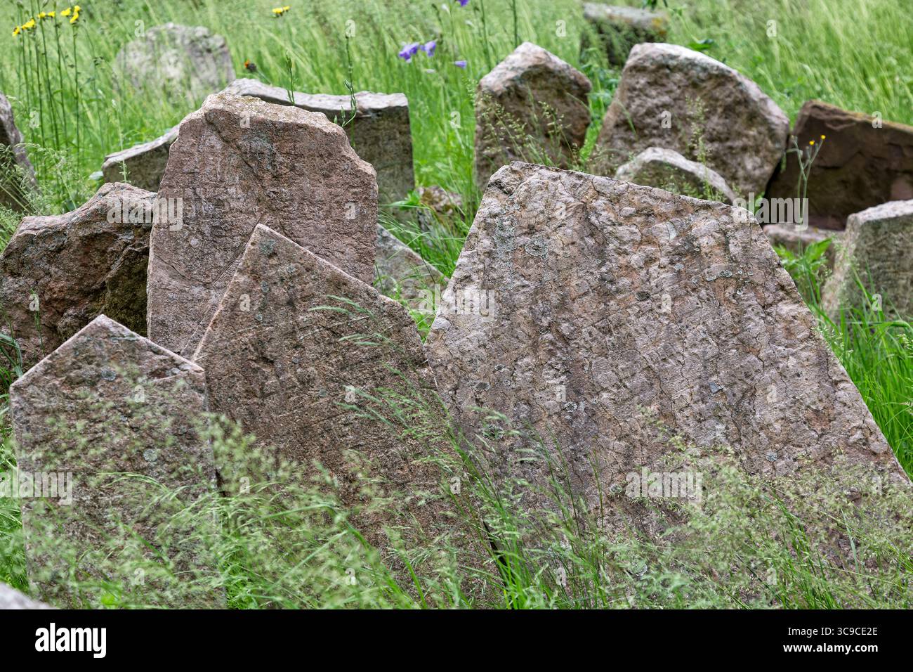 Pierres tombales dans le cimetière juif de Prague république tchèque. Banque D'Images