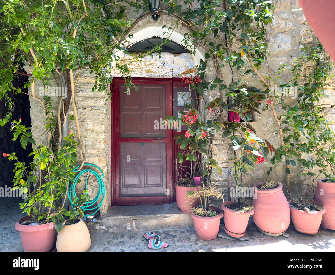 Village médiéval de Mesta. Île de Chios, Grèce. Pots de fleurs à l'entrée d'une maison d'architecture traditionnelle, mur de pierre et porte en bois Banque D'Images