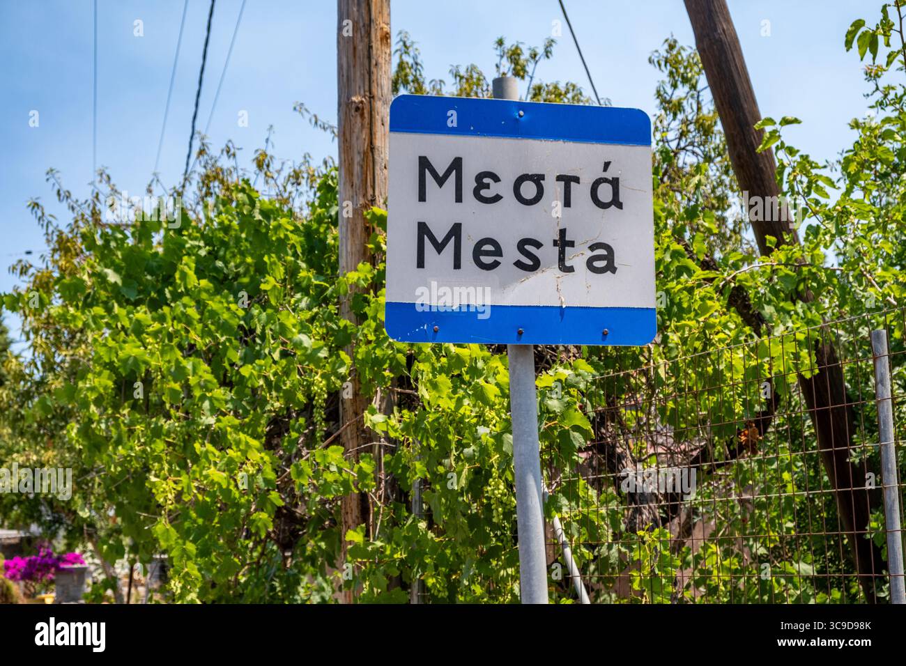 Île de Chios, Grèce. Panneau village Mesta, texte bilingue des panneaux routiers en grec et en anglais. Feuillage vert et fond de ciel bleu Banque D'Images
