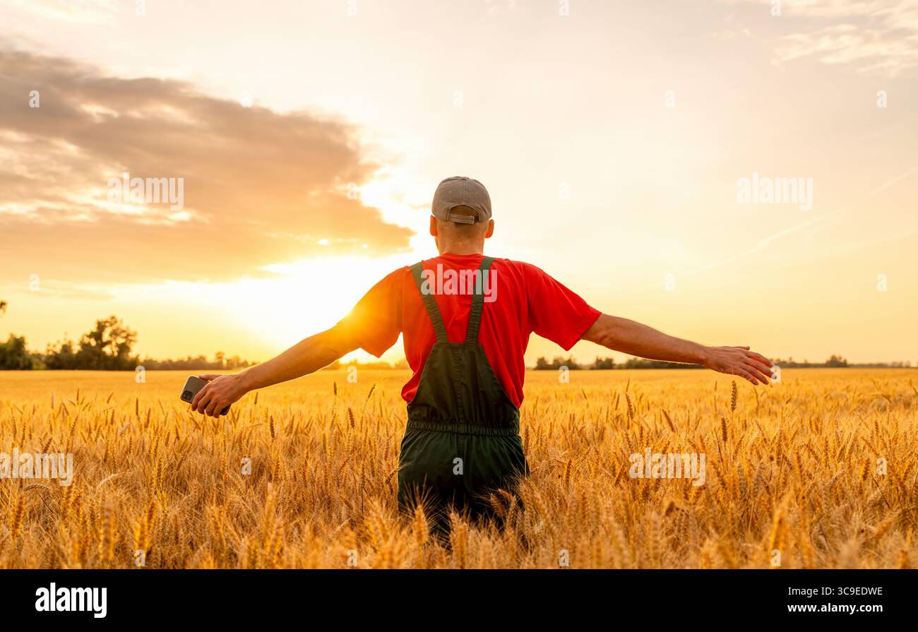 Agriculteur masculin moderne avec les bras tendus rencontrant le coucher du soleil dans le champ agricole en été Banque D'Images