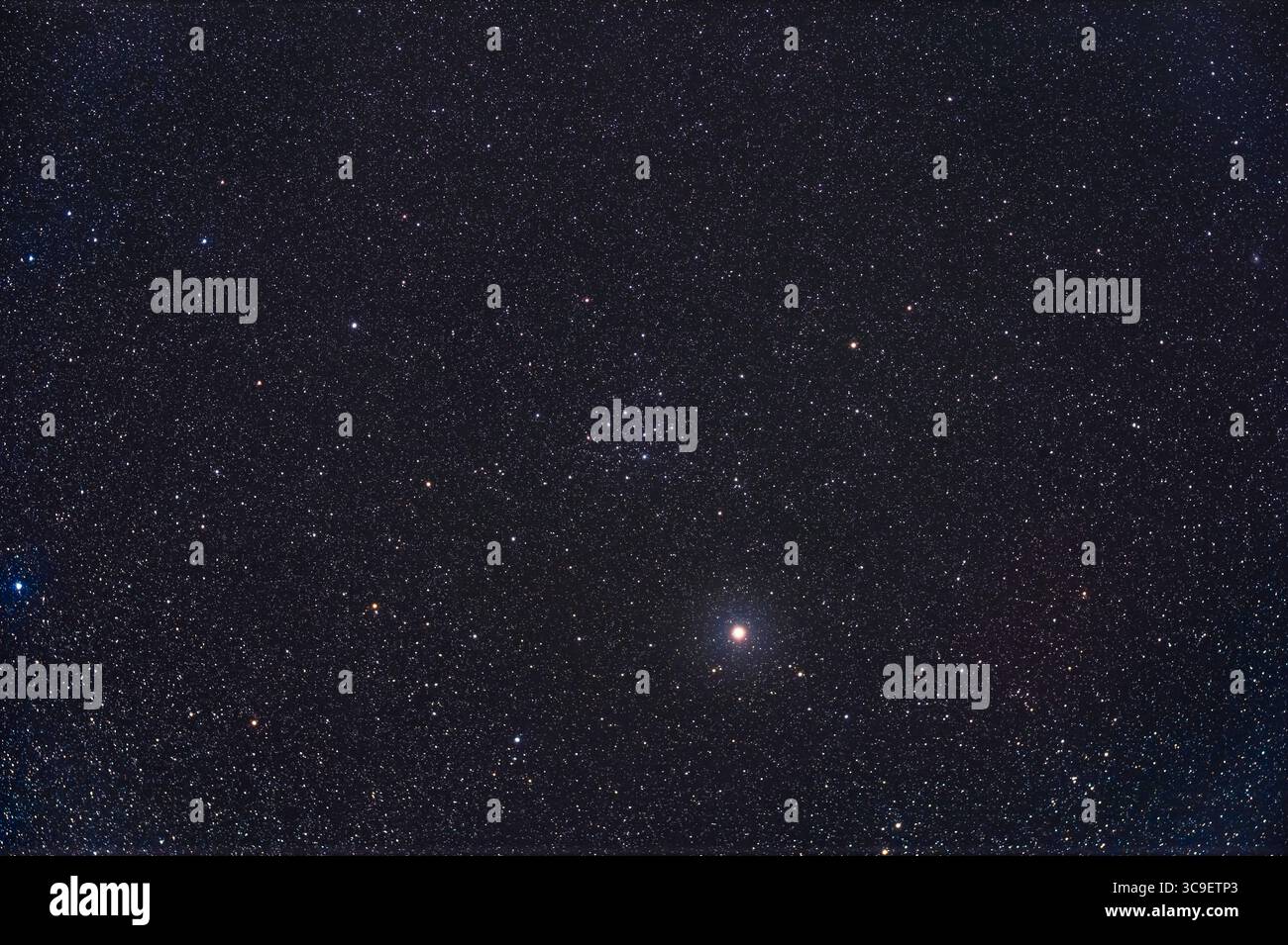 25 septembre 2022, Alberta, Canada : L'amas d'étoiles clairsemées IC 4665 à Ophiuchus au-dessus de l'étoile jaune Cebalrai ou Beta Ophiuchi. Il s'agit d'un grand groupe mieux adapté à l'observation avec des jumelles. ..il s'agit d'une pile d'expositions de 4 x 5 minutes avec le Canon Ra à ISO 800 sur le réfracteur SharpStar 61EDPH II, sur la monture Star Adventurer GTI, autoguidée avec le ZWO ASIAir. Prise à domicile le 25 septembre 2022. (Crédit image : © Alan Dyer/VW pics via ZUMA Press Wire) Banque D'Images