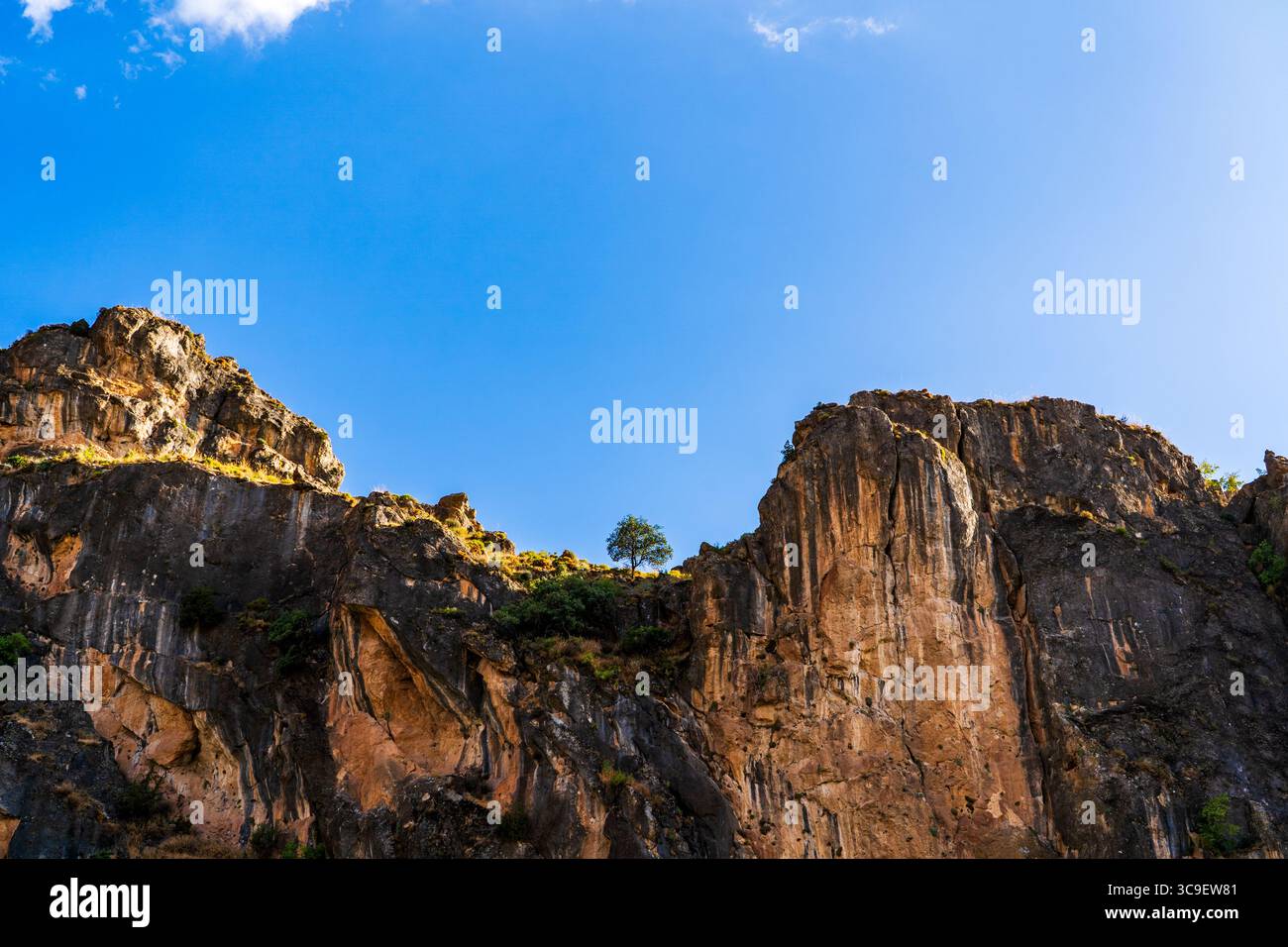 Lone Tree sur Rocky Cliffside sous un ciel bleu clair Banque D'Images