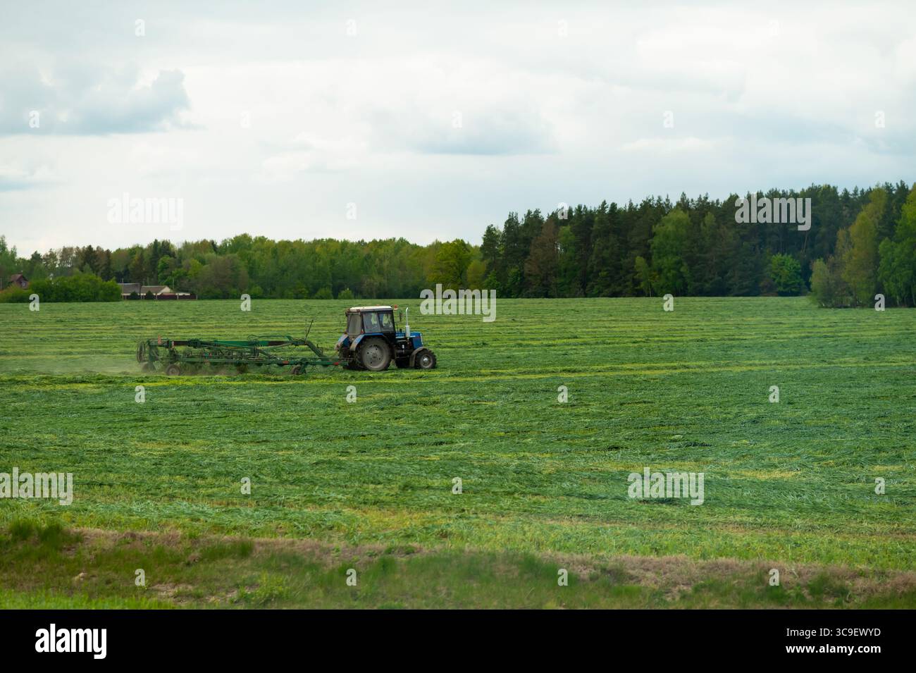 Tracteur fauchant l'herbe sur un grand champ vert près d'une forêt sous un ciel nuageux, l'agriculture en action Banque D'Images