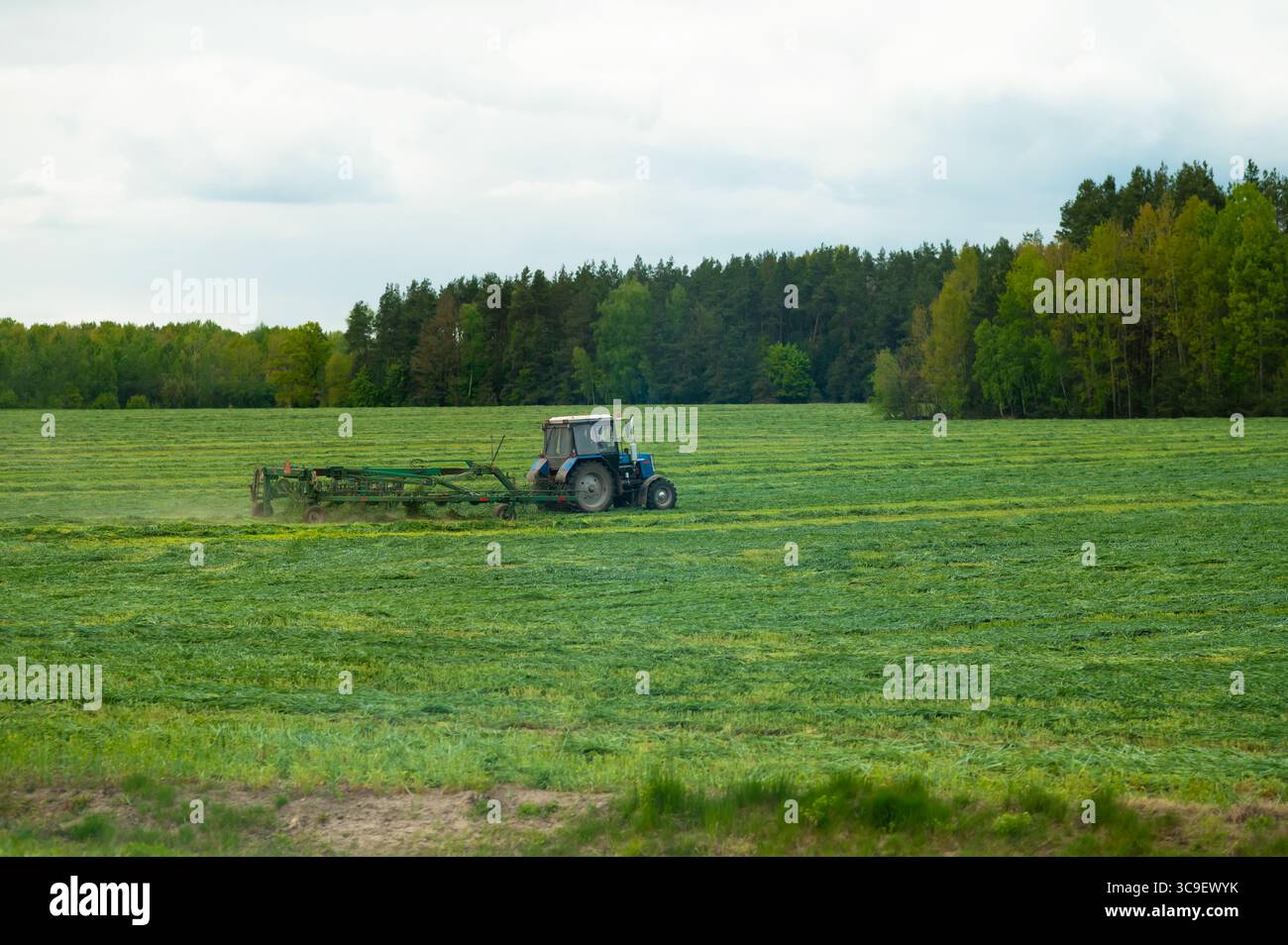 Tracteur fauchant l'herbe sur un grand champ vert près d'une forêt sous un ciel nuageux, l'agriculture en action Banque D'Images