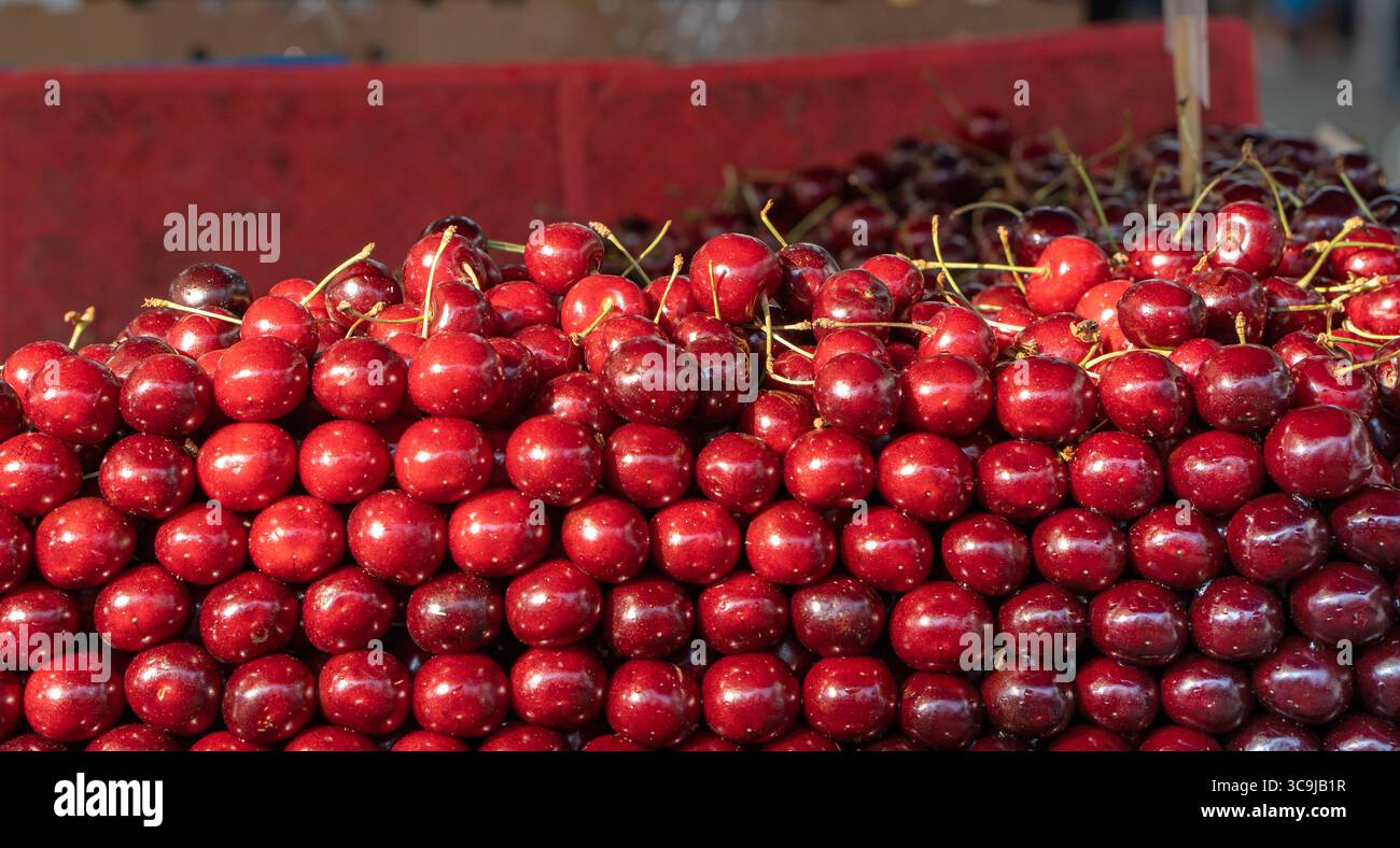 Cerises fraîches. Cerises soigneusement disposées sur un comptoir dans un marché local. Saison des baies d'été et des fruits, marché fermier Banque D'Images