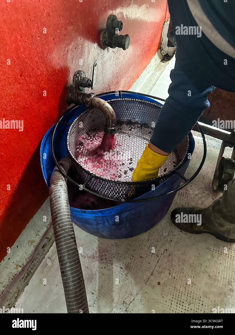 21 mars 2023, San Rafael, Mendoza, Argentine : un ouvrier draine le vin en fermentation pour une pompe pour faire recirculer le vin à la cave la Abeja à San Rafael, Mendoza, Argentine. Le vin est vidangé du fond d'une cuve et pompé de nouveau dans le haut de la cuve, mélangeant le vin en fermentation. La Abeja est la plus ancienne cave de San Rafeal, fondée en 1883. (Crédit image : © Jon G. Fuller / Vwpics/VW pics via ZUMA Press Wire) Banque D'Images