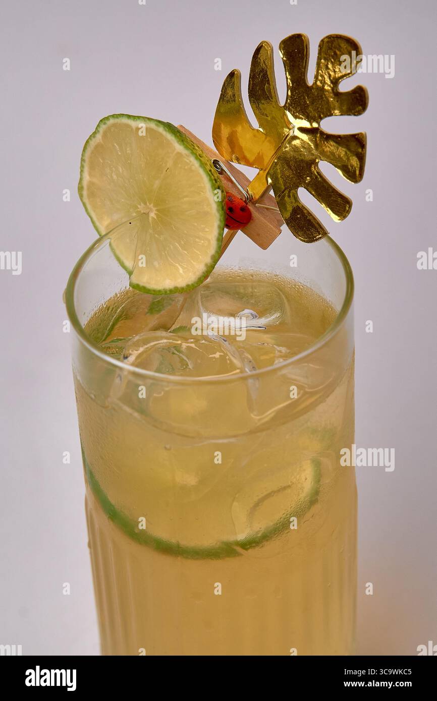 Boisson rafraîchissante aux agrumes avec glace et garniture décorative parfaite pour les rassemblements et les célébrations d'été avec une touche d'élégance Banque D'Images
