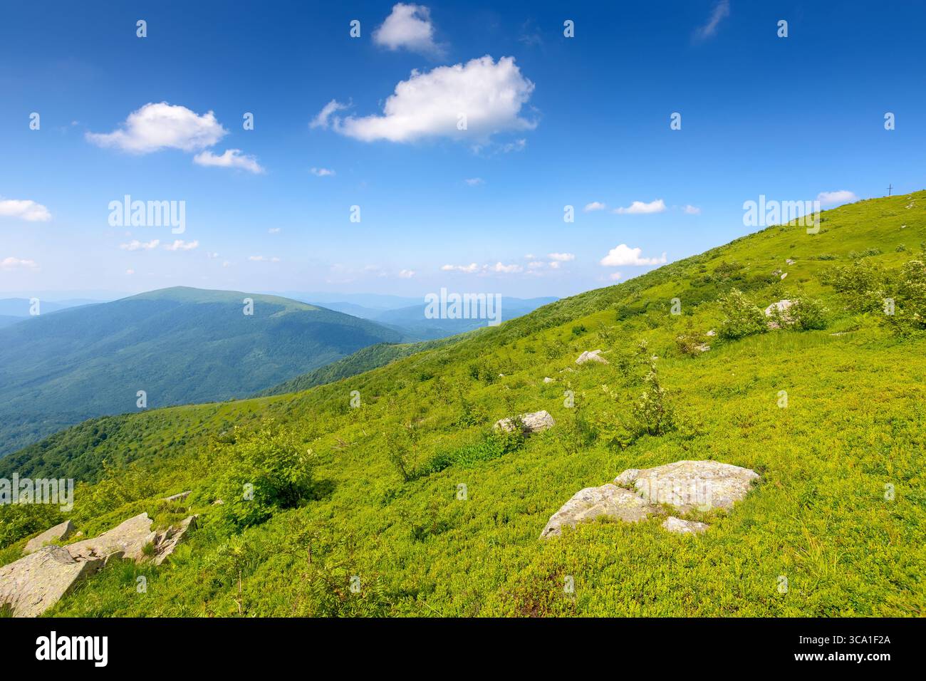 paysage de montagne en été. colline verte et ciel bleu. fond de nature pittoresque pour voyager dans le paysage alpin de l'ukraine sur un temps ensoleillé dans l'après-midi Banque D'Images