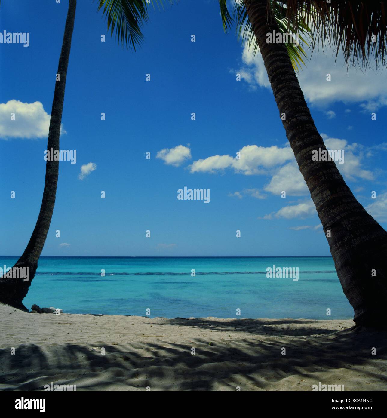 Vue sur la mer des Caraïbes depuis une chaise longue, avec du sable et des palmiers au premier plan, prise à Hasselblad avec film Kodak Chrome. Banque D'Images