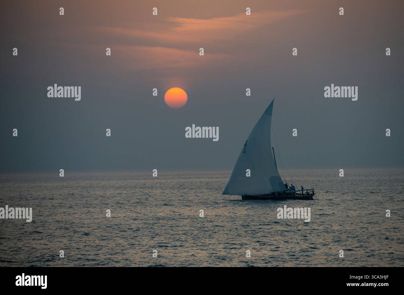 Janvier 1, 2012, Dubaï, SONT : un boutre numéro 33 s'entraîne au lever du soleil avant Al Gafffal, une course de voile longue distance de bateaux traditionnels en bois de 60 pieds de Sir Bu Nuayr Island à Dubaï, Emirats Arabes Unis, le 30 mai 2023. (Crédit image : © Martin Dokoupil/ZUMA Press Wire) Banque D'Images